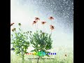 NANA NANA Na Na Na Natural Background Song Ringtone Status