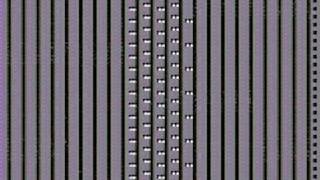 School Boy Humor -What If