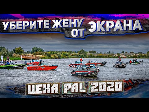 ЖЕНЕ не ПОКАЗЫВАТЬ. САМЫЕ ДоРоГиЕ лОдкИ в турнире PAL 2020. ПОКАЖЕМ ВСЕ.
