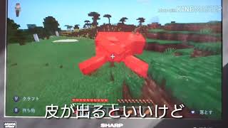 ゆっくり主が送るマインクラフト