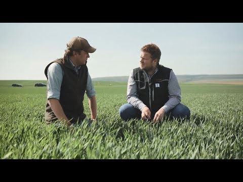 KWS TALENT in der Praxis – Teil 3