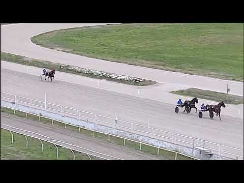 Napoli Trotto 30/01/2026 - 2ª prova di qualifica