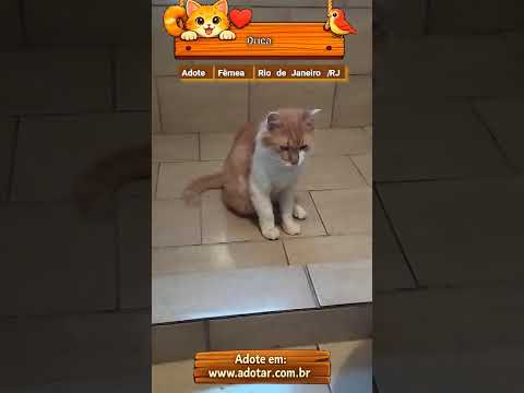 Vídeo de Drica