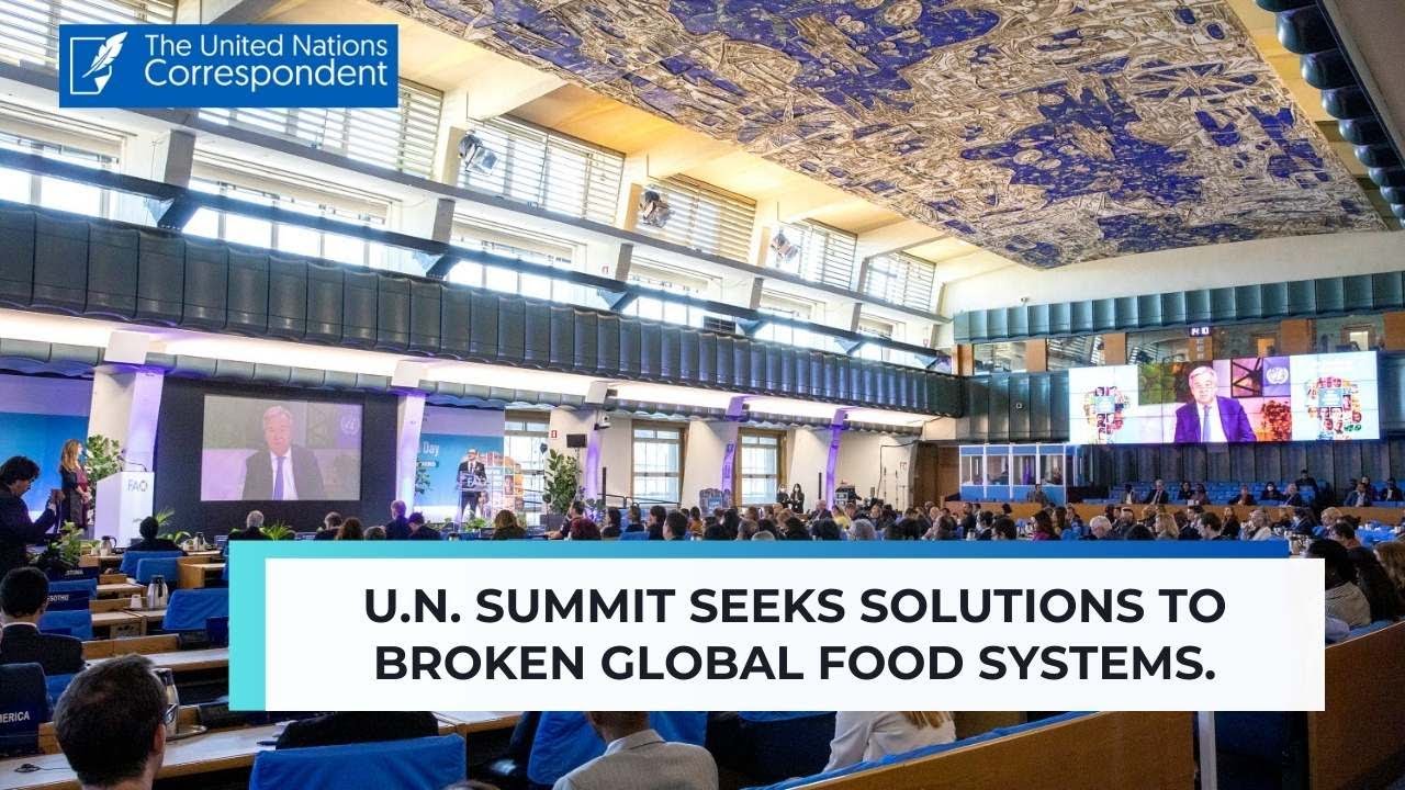 U.N. summit seeks solutions to broken global food systems