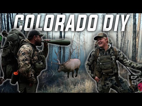 Colorado Backcountry Bowhunt
