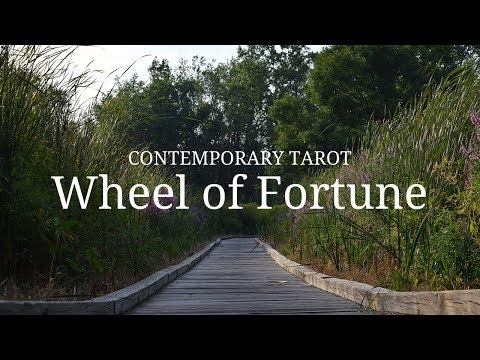 Wheel of Fortune in 5 Minutes
