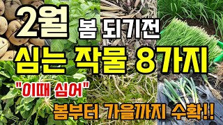 2월에 심는 추천작물 8가지 이때 심어 봄부터 가을까지수확 #2월에심는작물