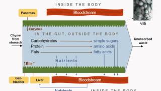 Basic Training 2_INFLAMMATION: Don&#39;t Call Me Rusty