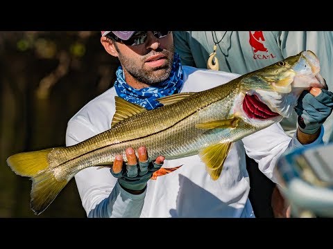 Backcountry Snook Fishing the Florida Everglades