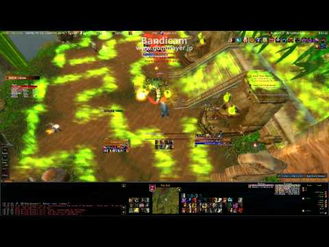 4.1 Heroic Zul'Gurub - High Priest Venoxis