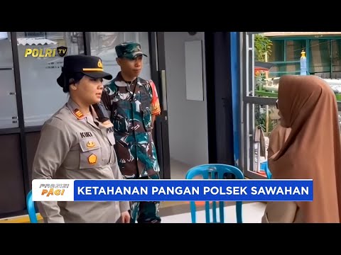 KAPOLSEK SAWAHAN POLRESTABES SURABAYA CEK PEKARANGAN HIDROPONIK DUKUNG KETAHANAN PANGAN
