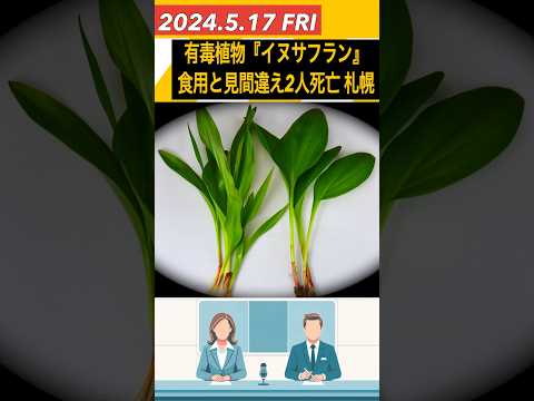 犬はサフランを食べても大丈夫ですか?