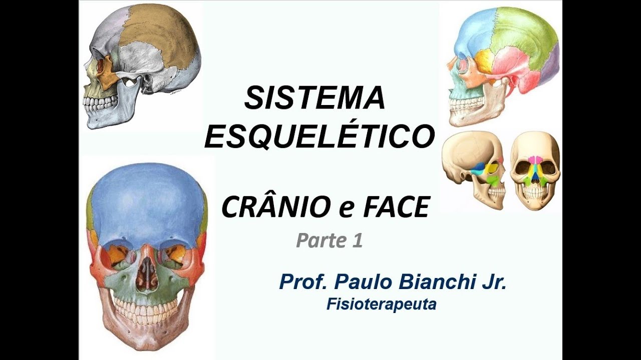 Crânio e Face - Parte 1 - Divisões e Ossos