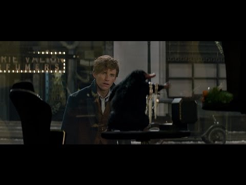 [신비한 동물사전] 최종 예고편_