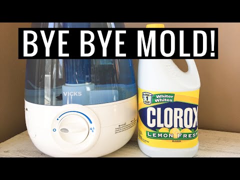 How to DISINFECT a Humidifier With Bleach | Andrea Jean