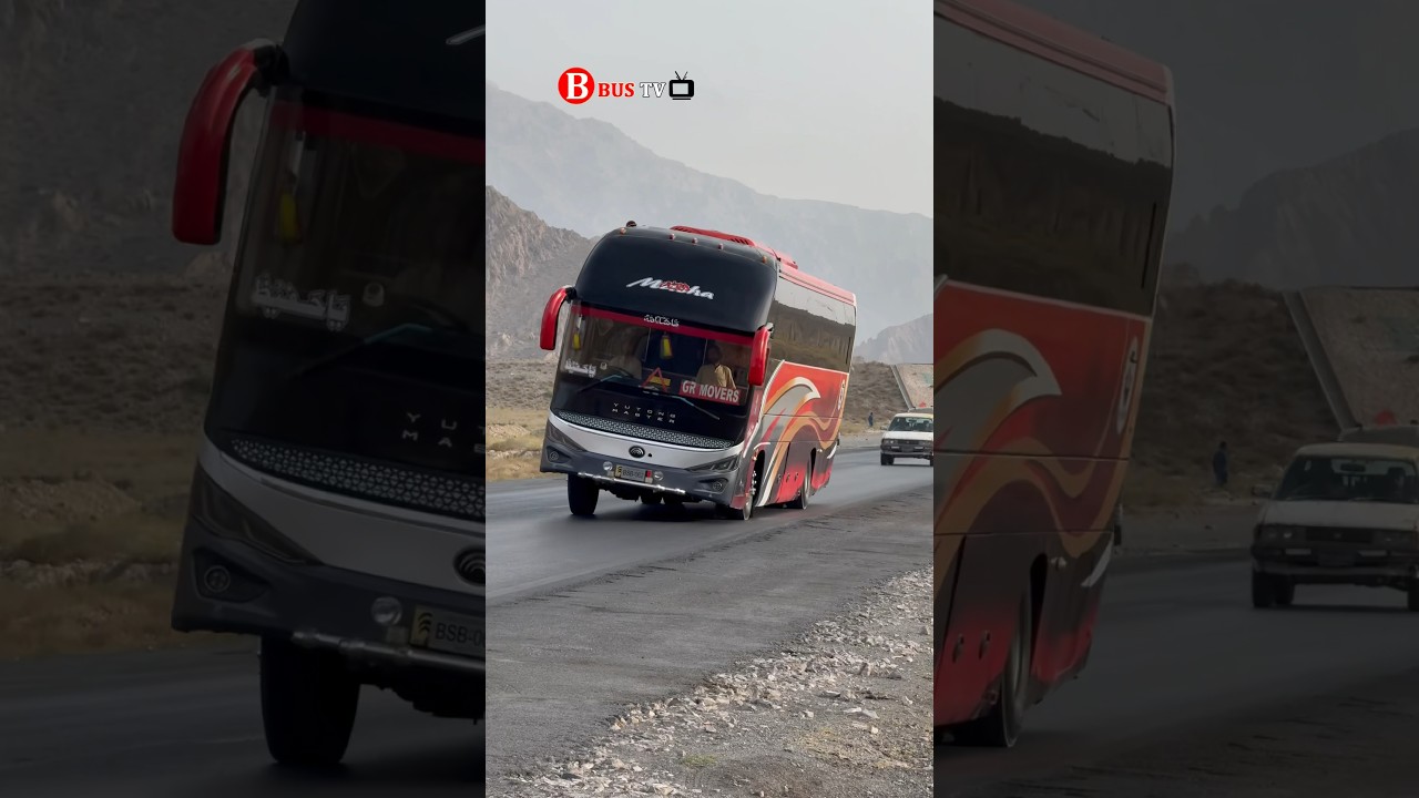 What happened to this bus? 🚌 #buscompany #travel