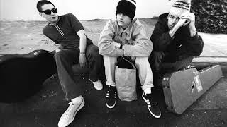 Beastie Boys-Twenty Questions