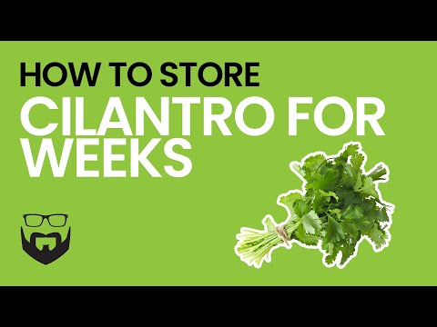 How to Store Cilantro for Weeks