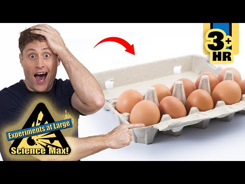 DIY Science Experiments with Everyday Objects | At-Home Science Fun | Scholastic After School