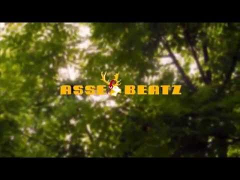 AsseBeatz-Festival 2015 (Trailer)
