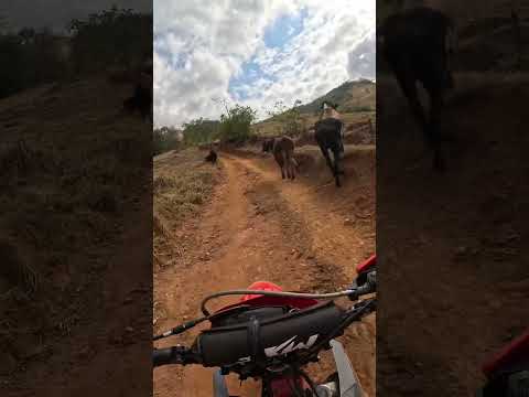 Subindo o morro da fazenda esperança em Santa Cruz do Escalvado Minas Gerais