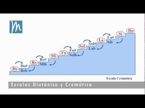 La escala cromática explicada en 7 minutos - Tonos y semitonos