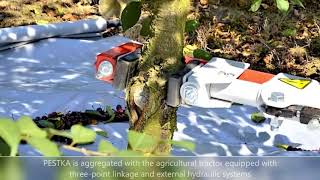 Venta de Jagoda Tree Shaker cosechadora de bayas - Imagen 5 | Agronetto CO Jagoda Tree Shaker cosechadora de bayas nueva | Imagen 5 - Agronetto