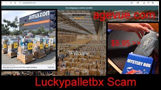 LHGTV // LUCKYPALLETBX AMAZON SCAM //
