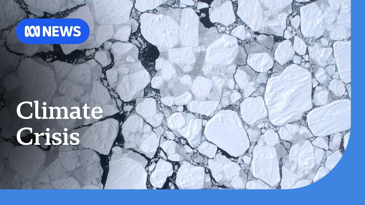 Antarctic researchers warn of possible 'catastrophic' sea level rise | ABC News