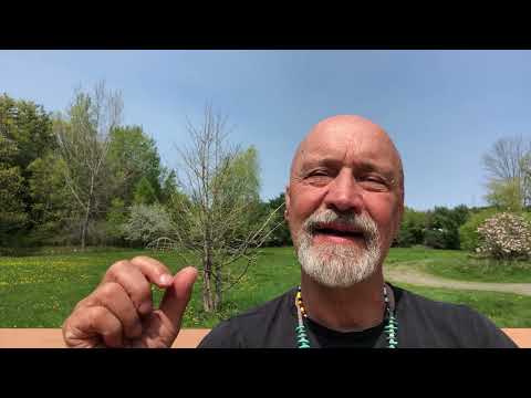 Day #174 Spiritual Debt In An Extractive Economy