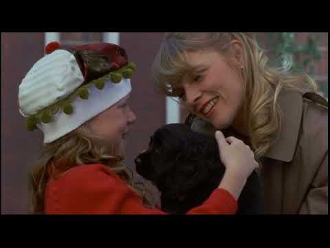 Allo maman ici c'est Noël (film)