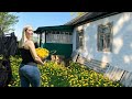 Escape From Reality Me And The Hoe Against Weeds Making Sweet Honey From Dandelions