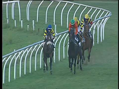 Galoppo 23/08/2017 - 5ª corsa