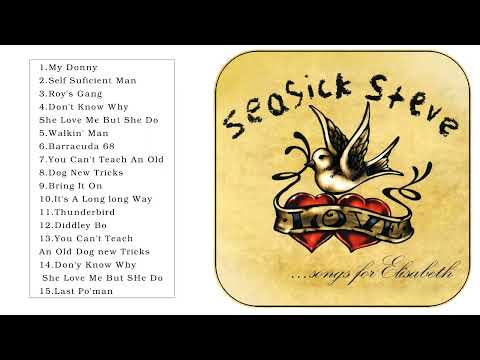 Seasick Steve Best Songs - Seasick Steve Greatest Hits - Seasick Steve Rock