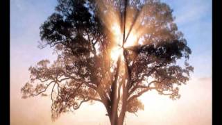 O bem e o mal -  Livro dos Espiritos