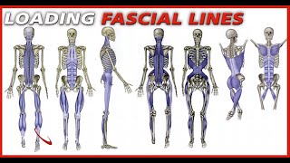 Effortless Power in Your Golf Swing: Understanding Fascia