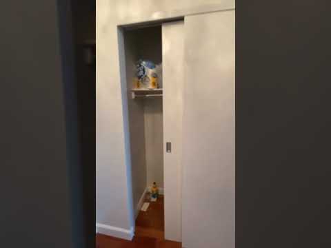 video 1