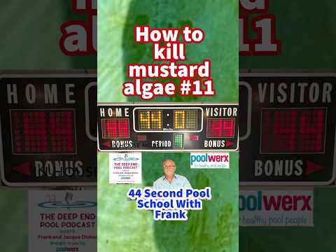 Mustard Algae Removal: Pool School #11