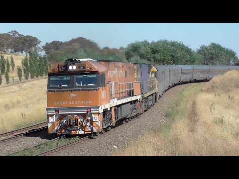 Journey Beyond Rail - Great Southern // Locos NR81/31