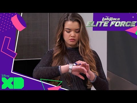 Lab Rats: Elite Force | Home Sweet Home | Official Disney XD UK