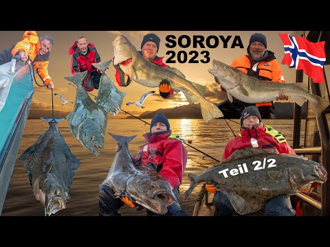 Angeln in Norwegen 2023 - Extremes Soroya Teil 2/2