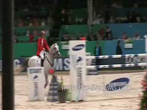 Preview: Now or Never: Jumping/Dressage