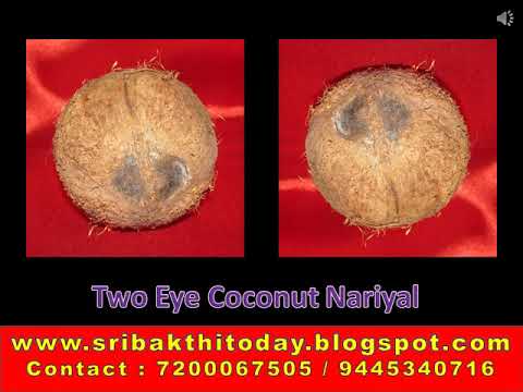 A grade semi husked two eyes coconuts, packaging size: box p...
