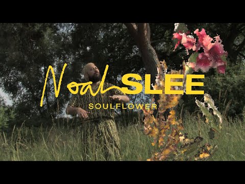 Noah Slee - Soulflower (Official Video)