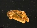 Star Wars 1995 Millennium Falcon Toy Commercial