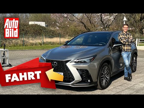 Lexus NX 350h F Sport (2022) | Neues SUV mit top Infotainment und entspanntem Fahrgefühl