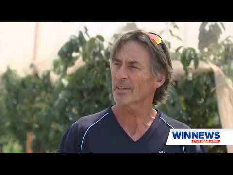 Cherry Season | WIN News