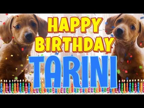 Happy Birthday Tarini! ( Funny Talking Dogs ) What Is Free On My Birthday