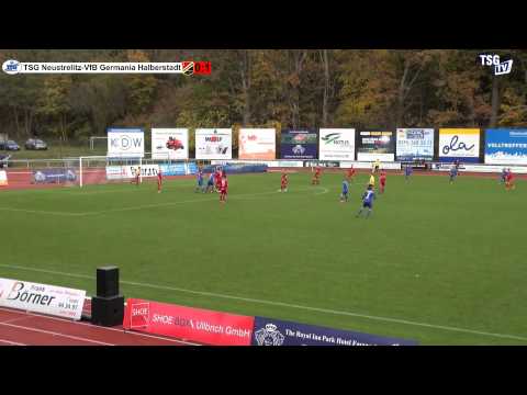 ZF 11. Spieltag TSG Neustrelitz - VfB Germania Halberstadt 11.11.2012