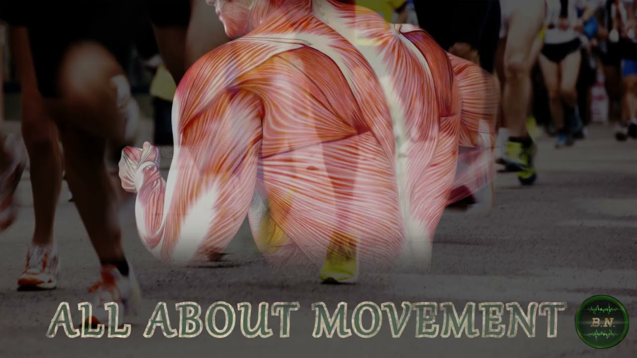 ALL ABOUT MOVEMENT - Bones, Joints, Tendons, Ligaments, Cartilage, Muscles